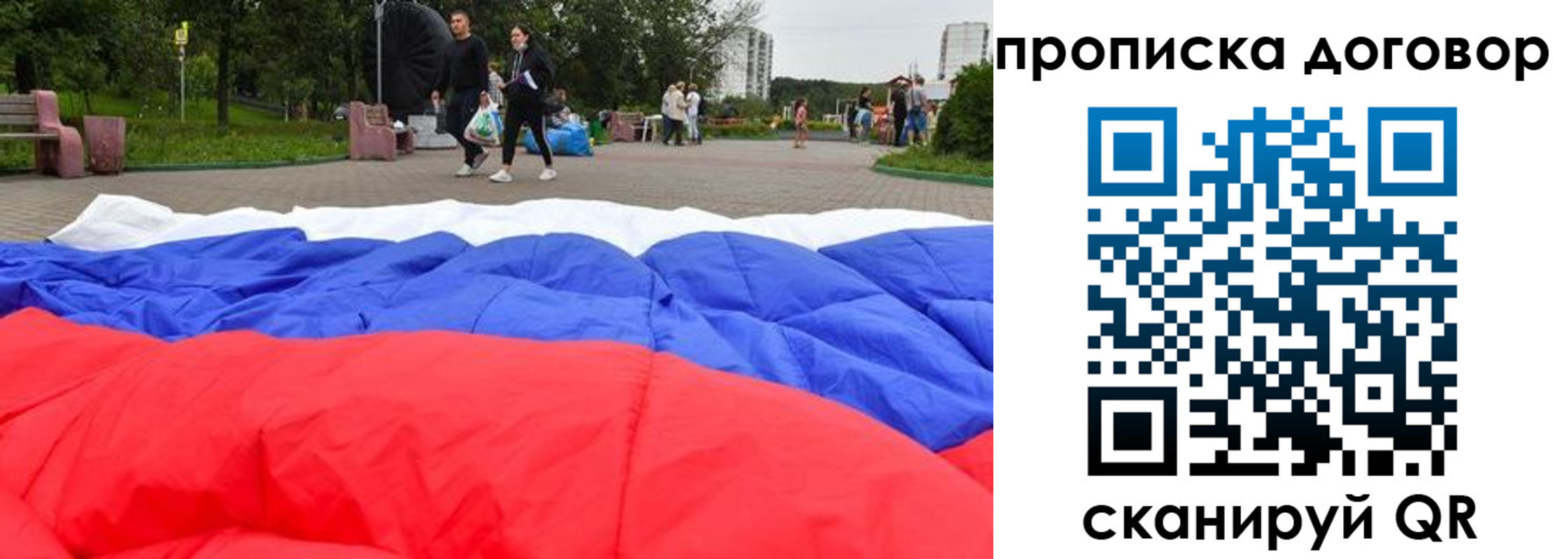 прописка поиск в Палласовке